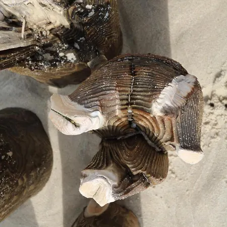 아파트 Hedighues-11-2